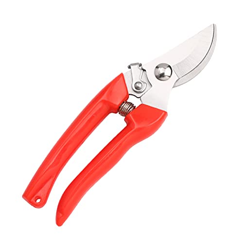 Curve Gardening Scissor with Sharp Stainless Steel Blade Garden Shears for Cutting Flowers Trimming Plants of Yard Florist Flower Rose Herb Hedge Bonsai and Fruits Picking