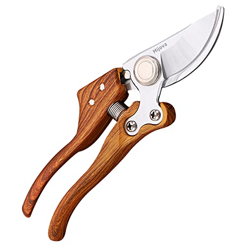 Pruning Shears