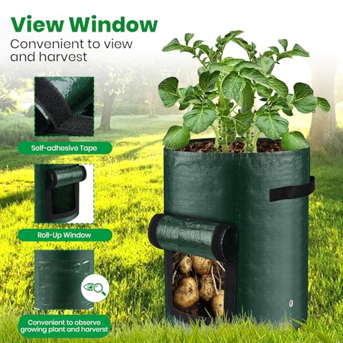 10 Gallon 3 Pack Potato Grow Bags (3 Count)