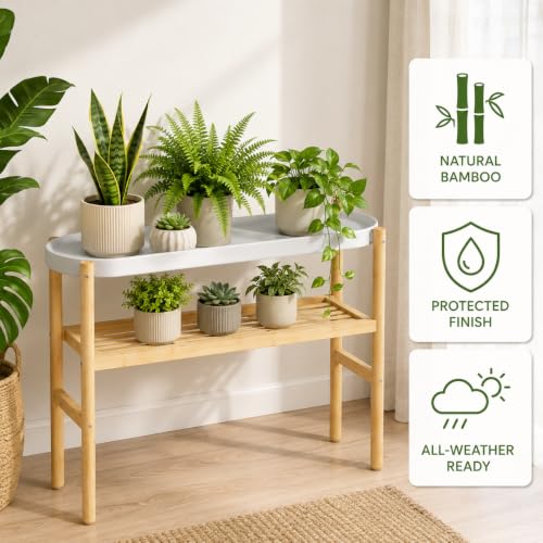 2 Tier Plant Stand Indoor (2 Count)