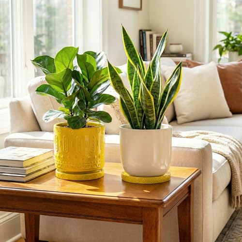 Plant Water Catcher Tray 7.5 Inch (7.5 Inch (2 Pack) / Yellow)