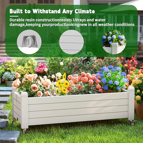 Horticulture Garden Planter Box