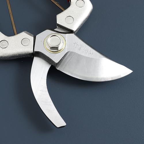 Bypass Pruner