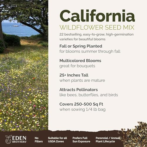 California Wildflower Mixed Seeds for Planting