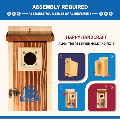 2 Pack Bluebird House