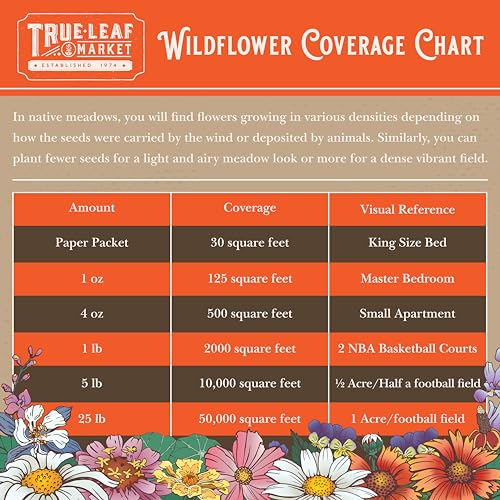 Mountain Valley Seed Co All Annual Wildflower Mix Seed for Planting 1 Lb (16 Ounce)