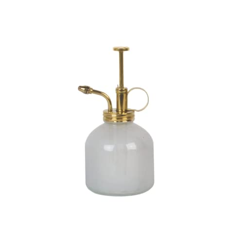 Plant Mister 8 oz Indoor Watering Can & Sprayer