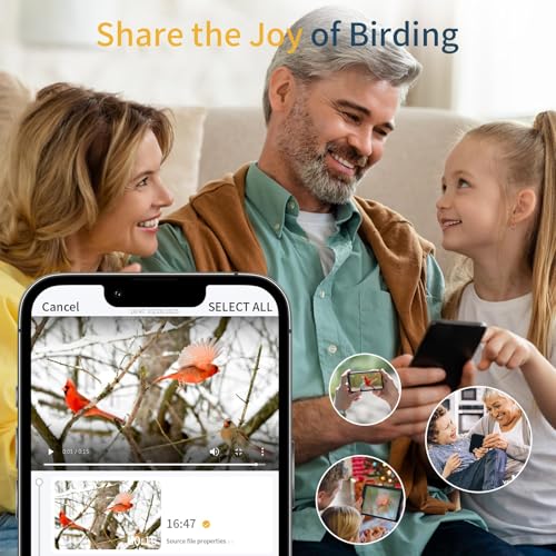FHD Bird Feeder with Camera