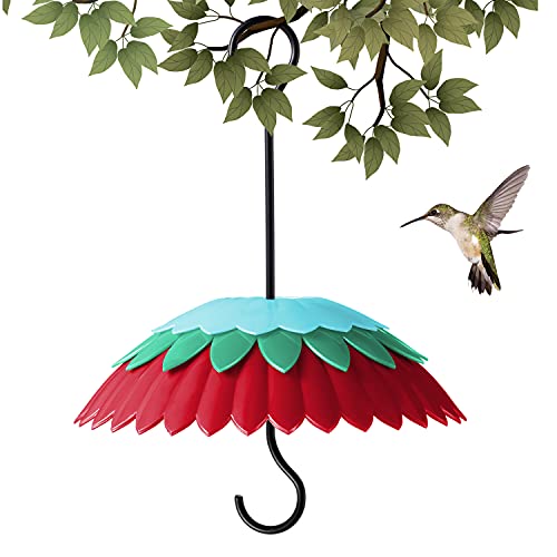 8" Hummingbird Feeder Dome Baffle with Ant Moat
