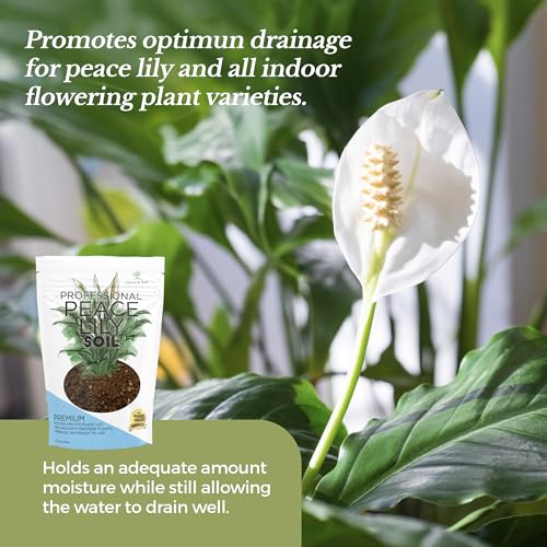 Professional Peace Lily Soil 8.2 Quarts Ready to Use (Peace Lily Soil / 8.2 Quarts)