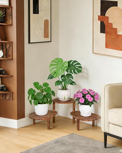 3 Tier Convex Corner Plant Stand Indoor