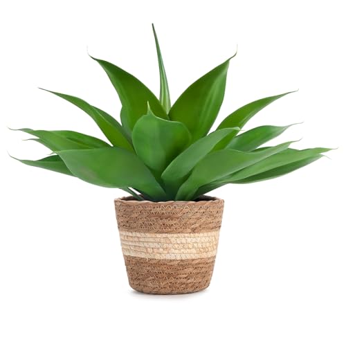 Fake Agave with Rattan Pot