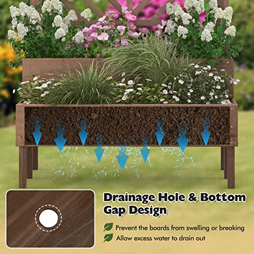 Raised Garden Bed with Trellis & 2 Planter Boxes