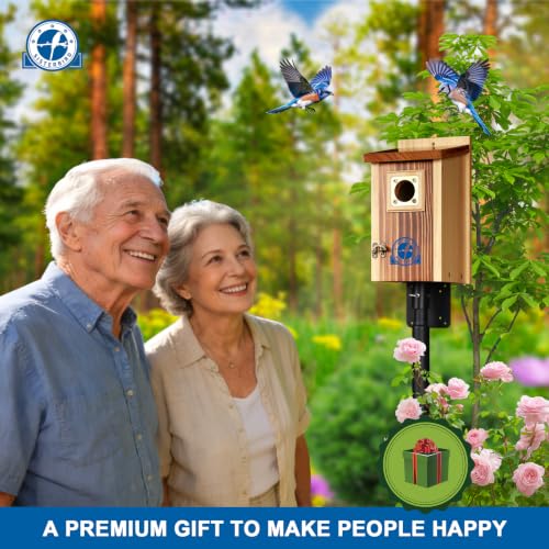 2 Pack Bluebird House