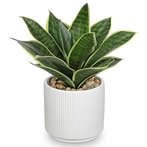 Artificial Agave Succulent Plants Faux Snake Plant Fake Succulent Agave Plants Potted in White Pot Succulent Aloe Plant for Desk Modern Office Living Room Table Shelf Home Indoor Outdoor Decor (Style 2)