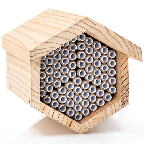 Premium Cedar Bee House