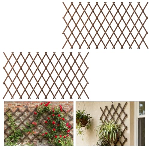 2 PCS Expandable Garden Trellis (2 Count)