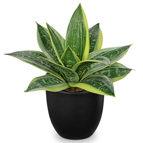 Artificial Snake Plants 9" Faux Agave Succulent Plant Potted in Black Pot Fake Sansevieria Aloe Tropical Plant for Desk Modern Office Home Bathroom Indoor Outdoor Decor