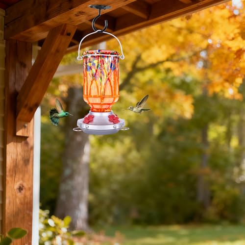 Hummingbird Feeders for Outdoors with Ant Moat