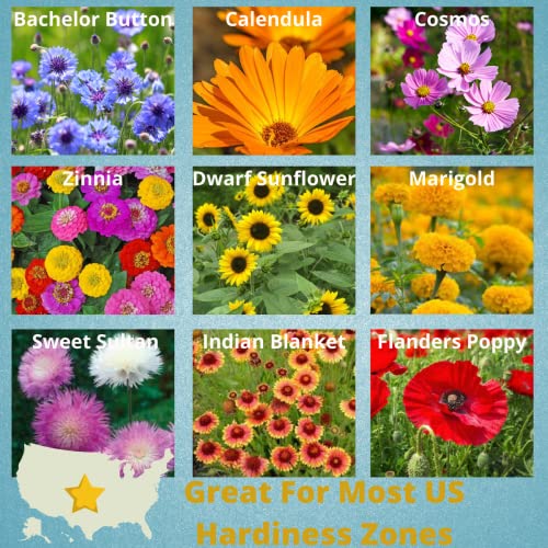 Camas Pollinator Wildflower Seed Packets (20 Count)