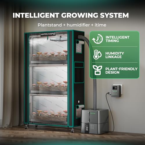 Indoor Greenhouse with Grow Light (4 Count)