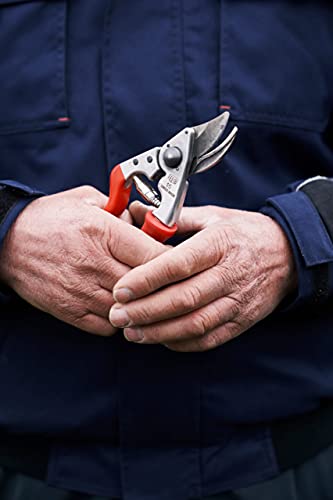 F 15 Pruning Shears