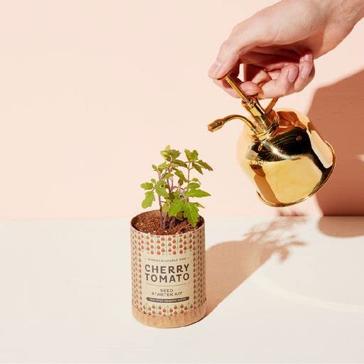 Plant Mister 8 oz Indoor Watering Can & Sprayer