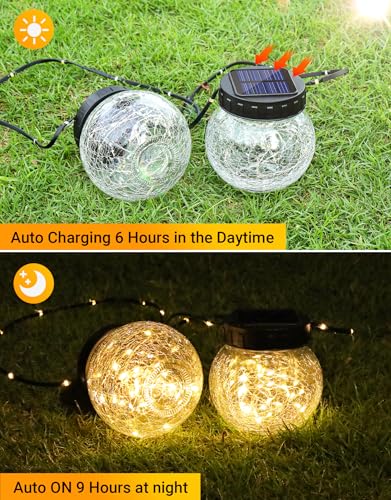 Solar Lights Outdoor Waterproof 12 (12 Count)