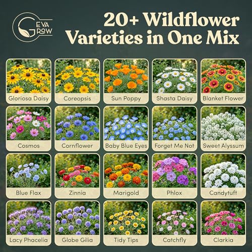 Wildflower Seed Shaker (16 Ounce)