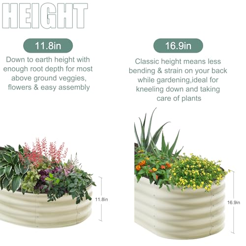 2Pcs Galvanized Steel Raised Garden Bed 8x2ft Oval (2 Count)