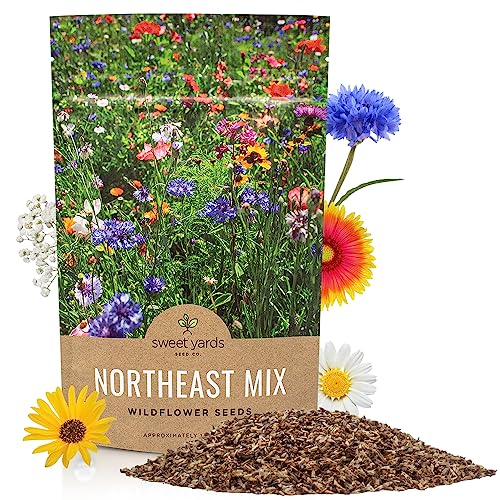 Northeast Wildflower Seed Regional Mixes
