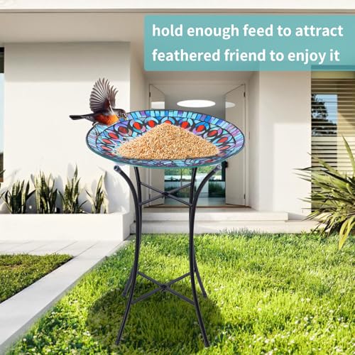 Glass Bird Bath