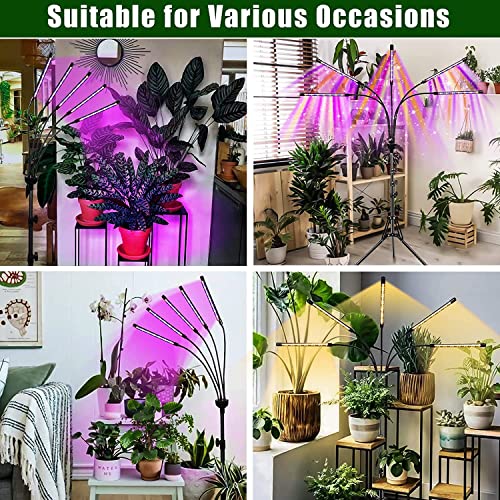 Grow Lights for Indoor Plants