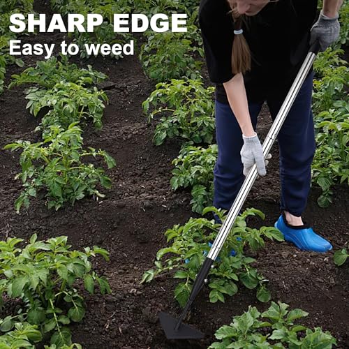 Triangle Garden Hoe