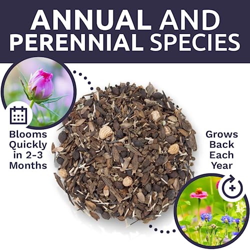 Bulk Wildflower Seeds Butterfly and Humming Bird Mix (4 Ounce)