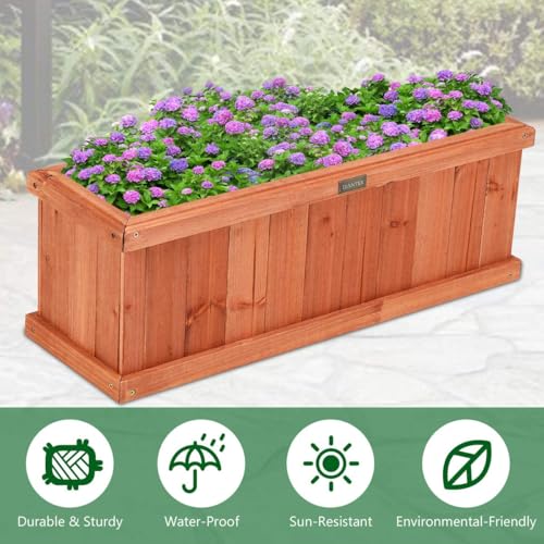 Raised Garden Bed Set of 2 (Cedar Brown / 28"x10"x10")