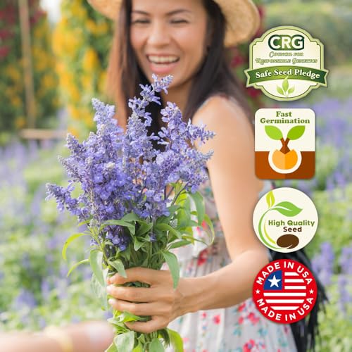 BBB Seed Hummingbird Flower Seeds Mix