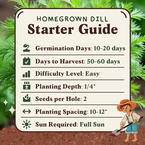 Organic Non GMO Herb Seeds for Planting Outdoors