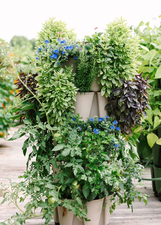 Patented Large 5 Tier Vertical Garden Planter with Patented Internal Watering System Great for Growing a Variety of Strawberries