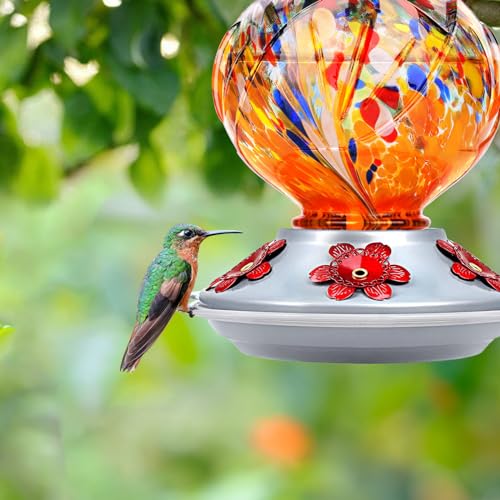 Hummingbird Feeders for Outdoors Hanging