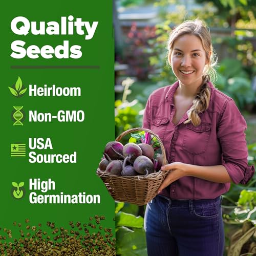 Detroit Dark Red Beet Seeds