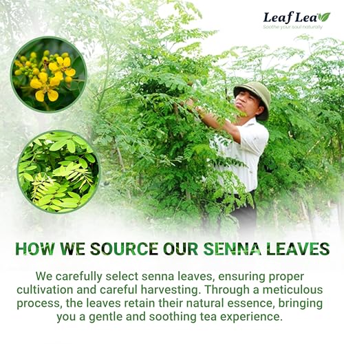 Senna Leaf Tea Bags (40 Count)