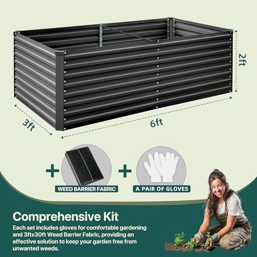 Raised Garden Bed 6x3x2ft
