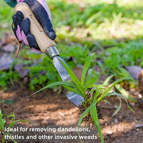 Hand Weeder Tool