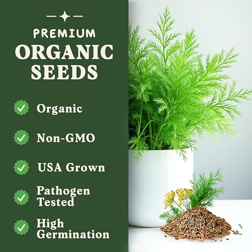 Organic Non GMO Herb Seeds for Planting Outdoors