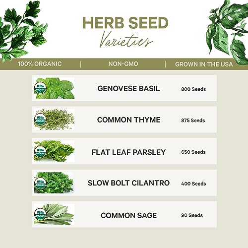 5 Certified Organic Herb Seeds Variety Pack (5 Count)