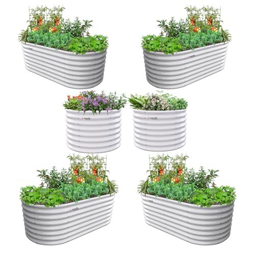Anleolife 6 Bed 6x3ft Oval & 3ft Round Raised Bed Set (Set of 6 / Forester-white)