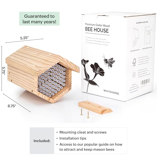 Premium Cedar Bee House