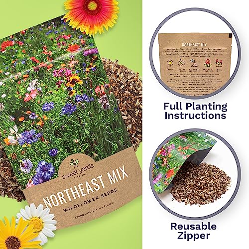 Northeast Wildflower Seed Regional Mixes