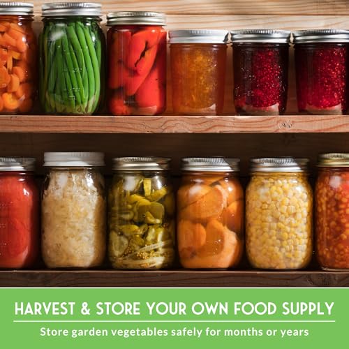 Home Garden Vegetable Seed 30 Variety Pack (30 Count)